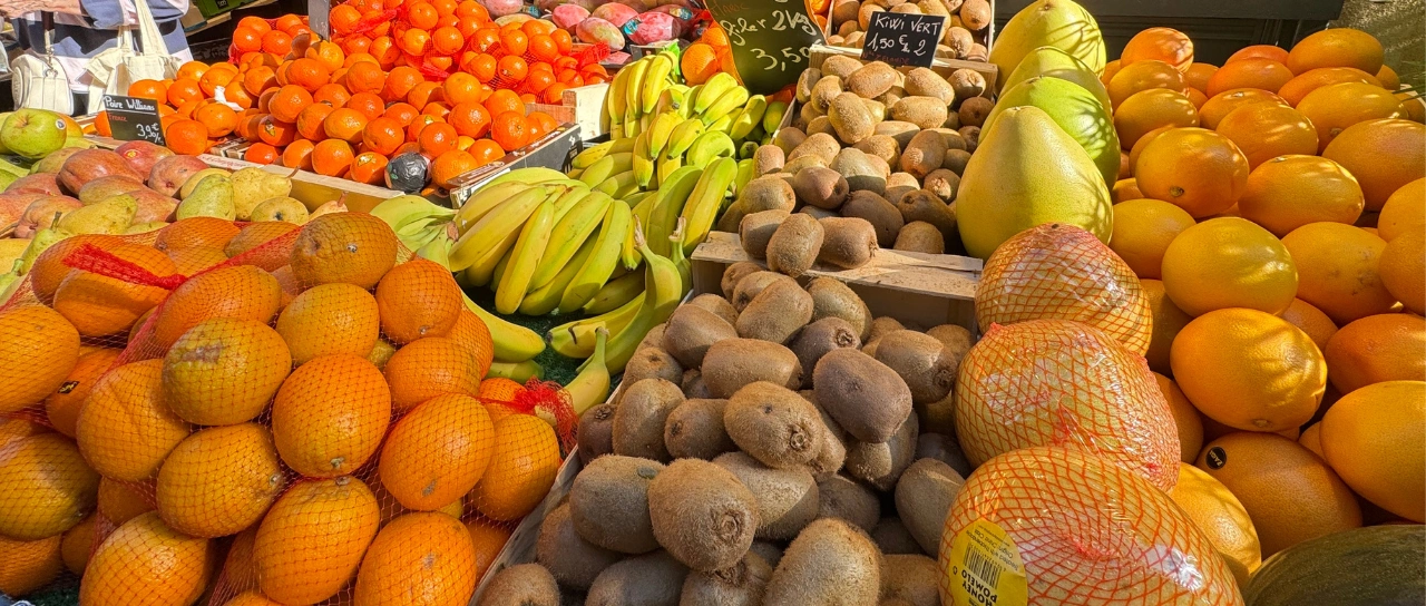 Export-quality Indian Fruits